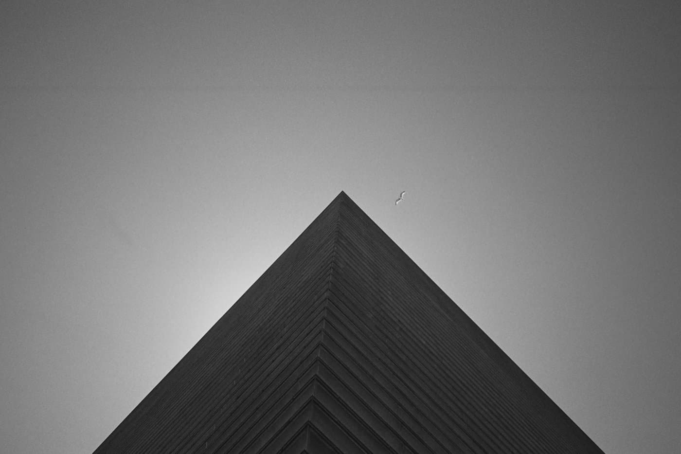 Upward view of a building converging into a triangular form against the sky with a seagull flying nearby