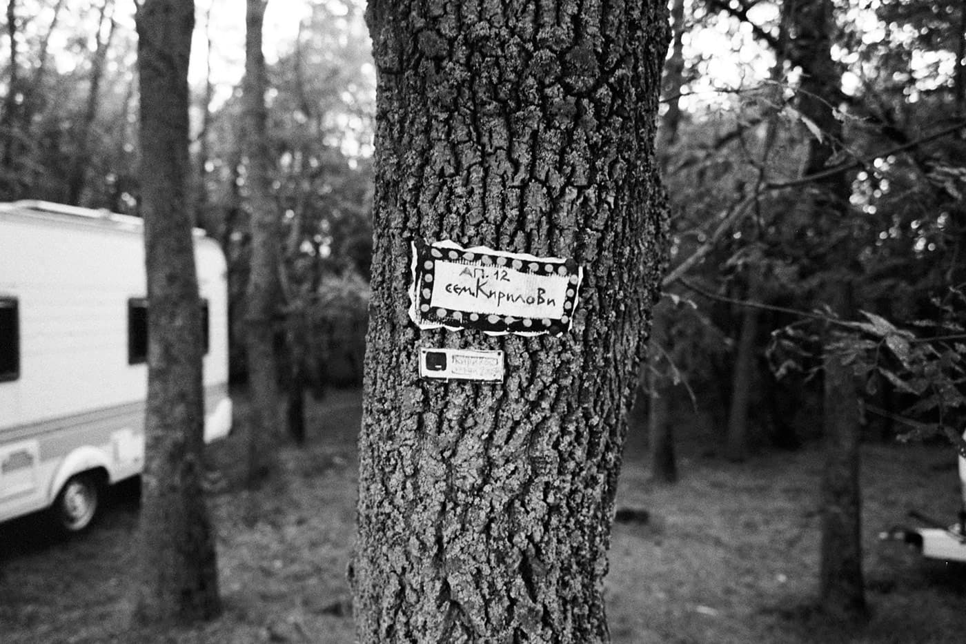 A close-up tree trunk with an apartment doorbell and a nameplate showing a family name attached to it