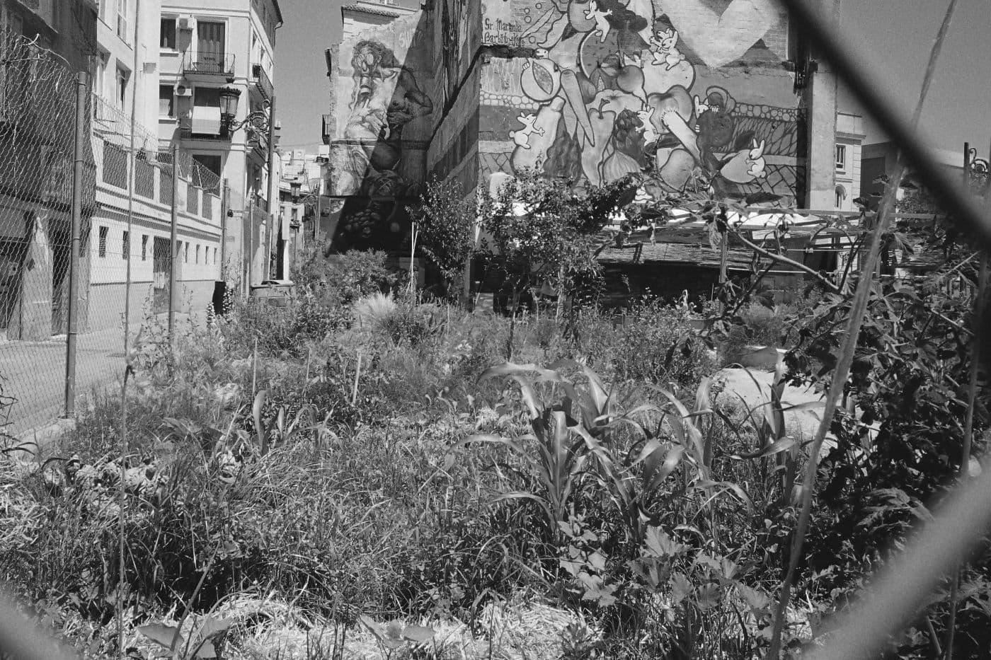 City garden surrounded by buildings with wall murals of vegetables, fruits, rabbits, and a figure wearing a gas mask