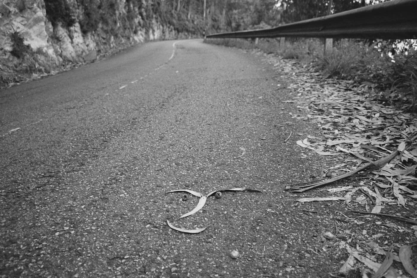 Fallen eucalyptus leaves scattered on a road with some forming a shape resembling a human face