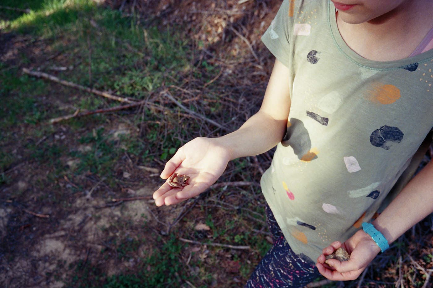 A girl holding a small frog in her hand