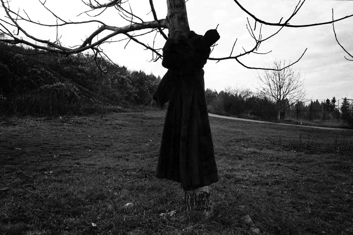 Leafless tree in winter with a fur coat wrapped around its trunk hanging