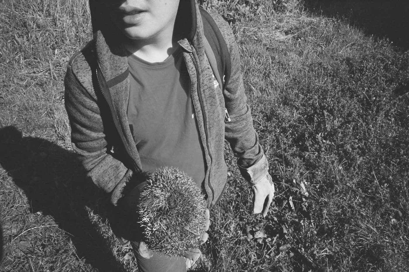Boy holding a hedgehog rolled into a ball in his hand