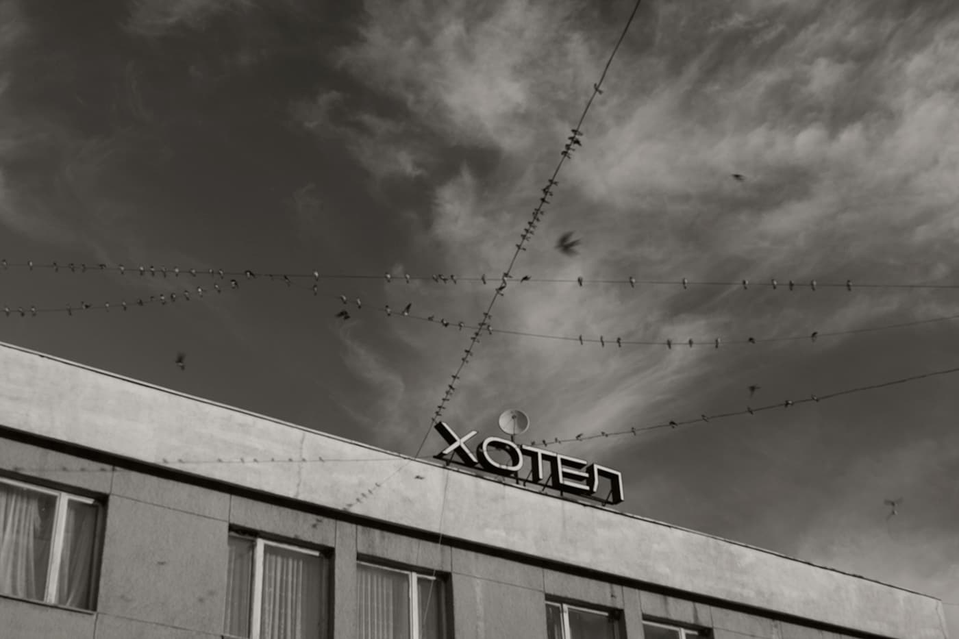 Hotel facade with electricity wires in front, where most swallows are perched and a few are flying nearby