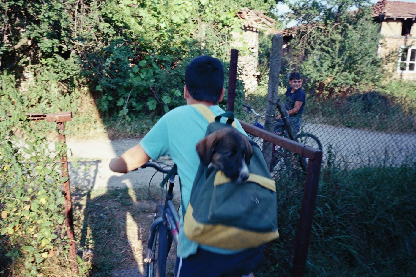 A boy riding a bike with a backpack and a dog whose head is sticking out of it