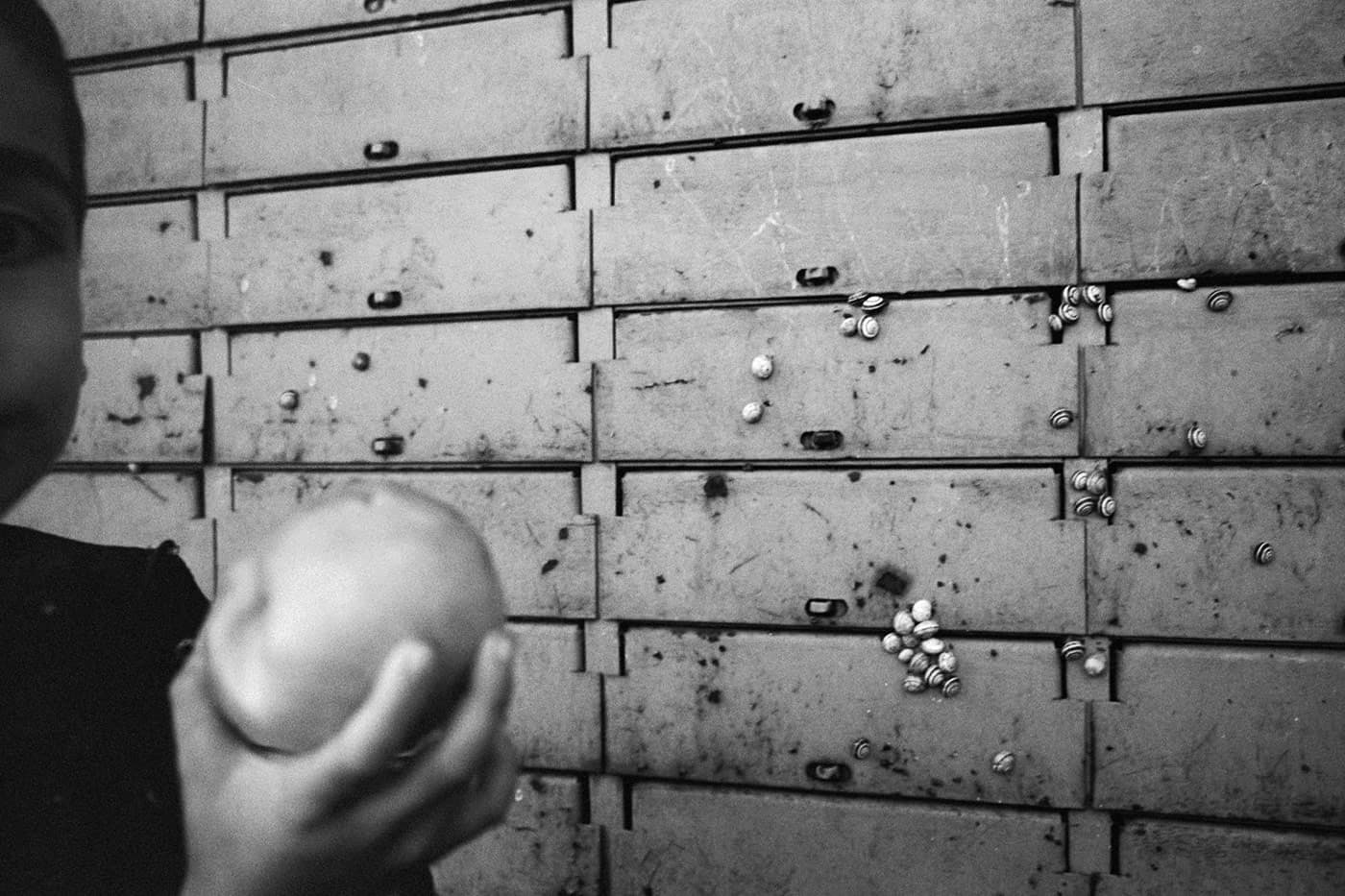 A photograph showing part of a boy's figure holding an apple in front of old abandoned mailboxes covered with small snails.
