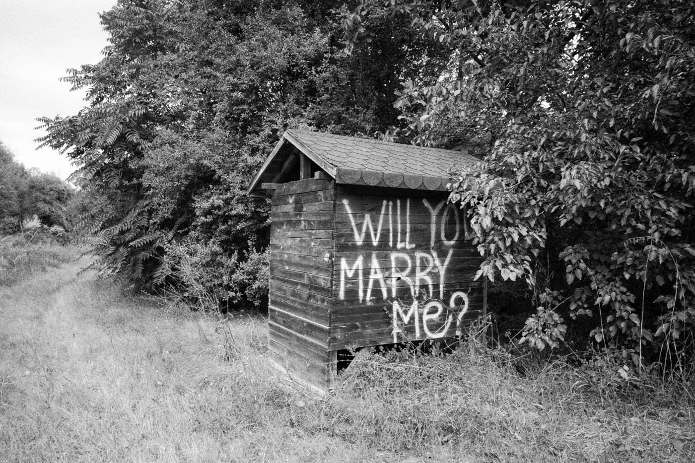 A small cabin in the woods with graffiti on it reading will you marry me