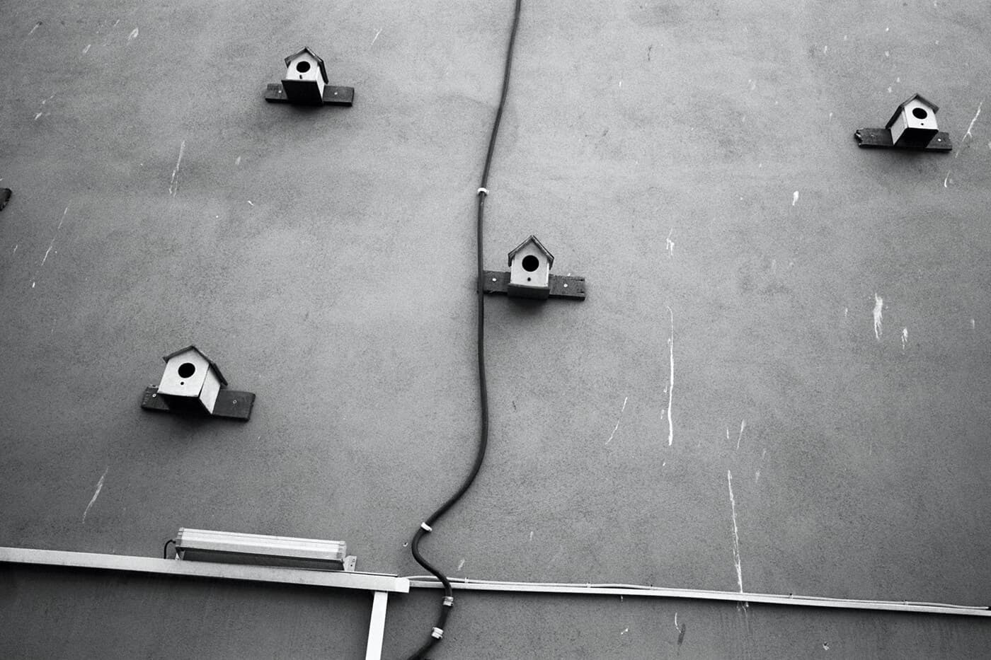 Building facade wall with several birdhouses mounted across the surface in urban scene