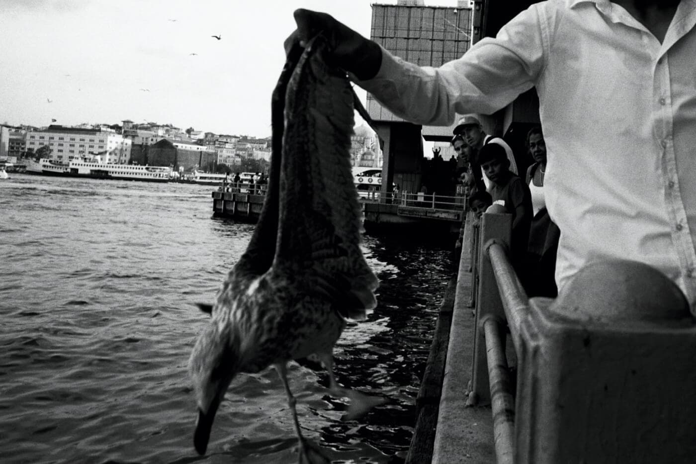 Man standing on a bridge over the sea holding a gull in his hands