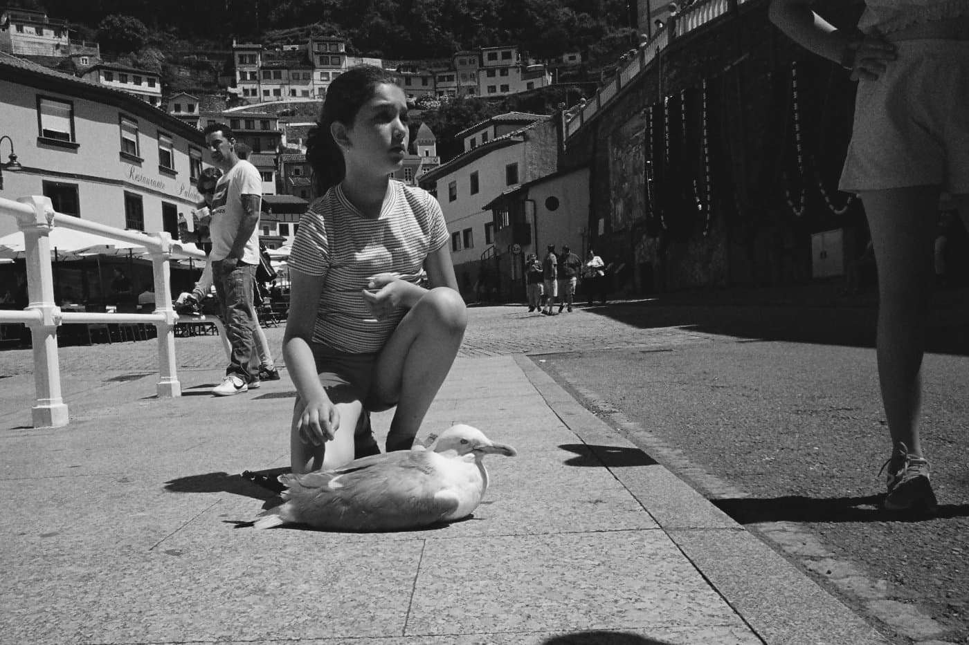 Girl standing next to a seagull lying on the sidewalk, appearing injured, with other people and a town background behind