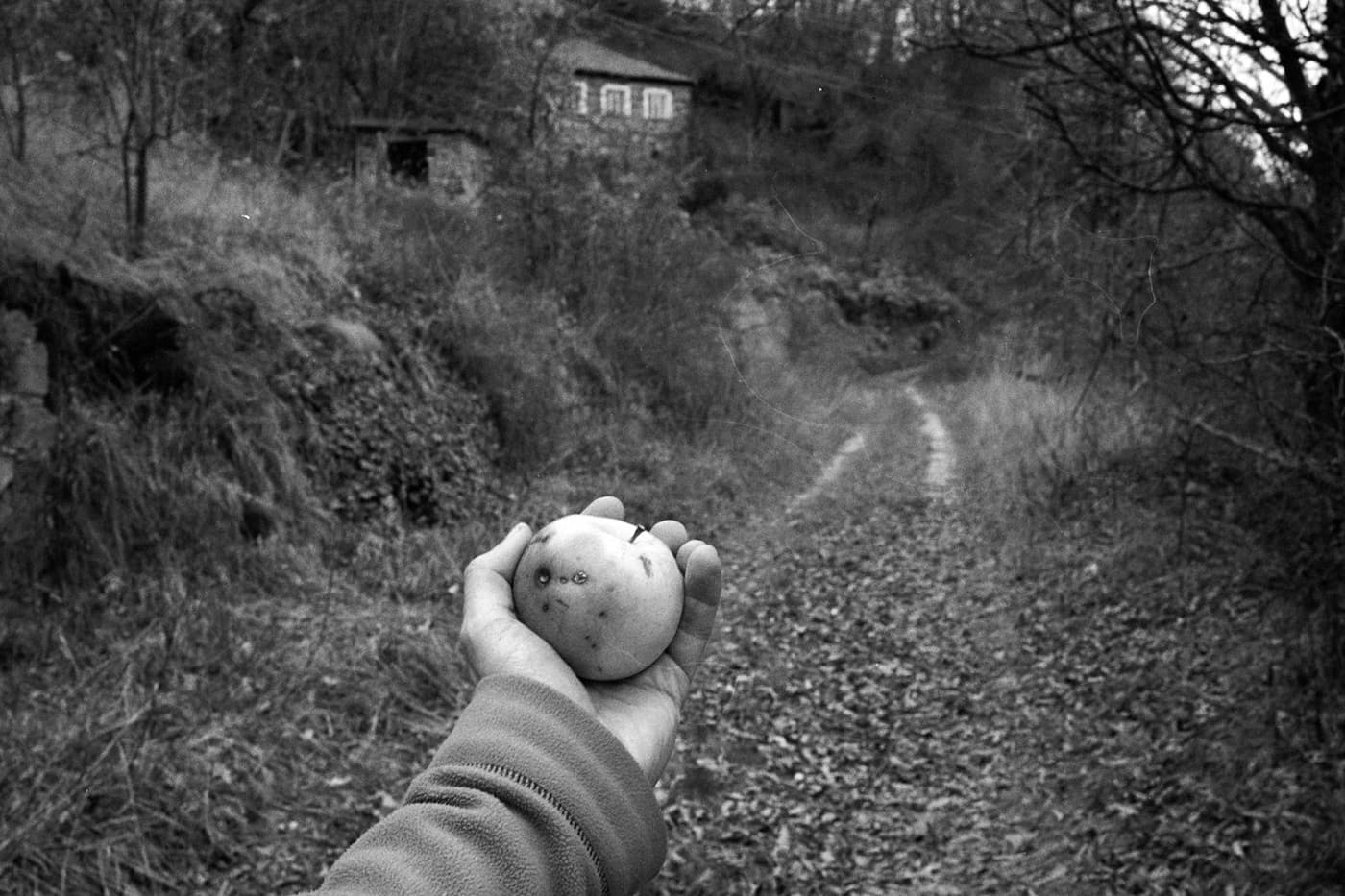 A photograph of a hand holding an apple on a forest road with an old house in the background.