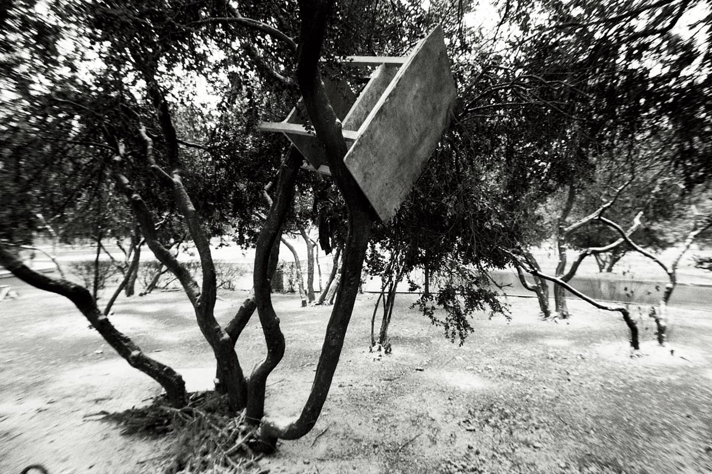 A table stuck in the crown of a tree among its branches.