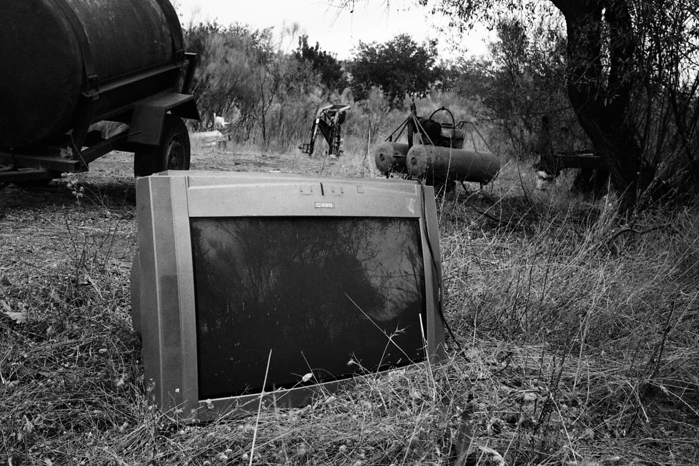 Old television set on the ground within tall grass