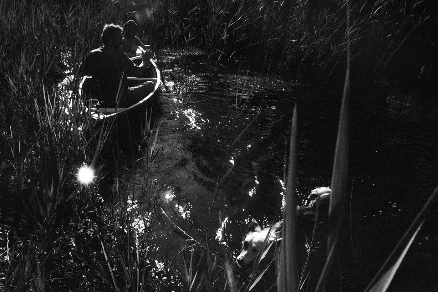 Two people in a boat on a lake with tall grass growing along the shoreline