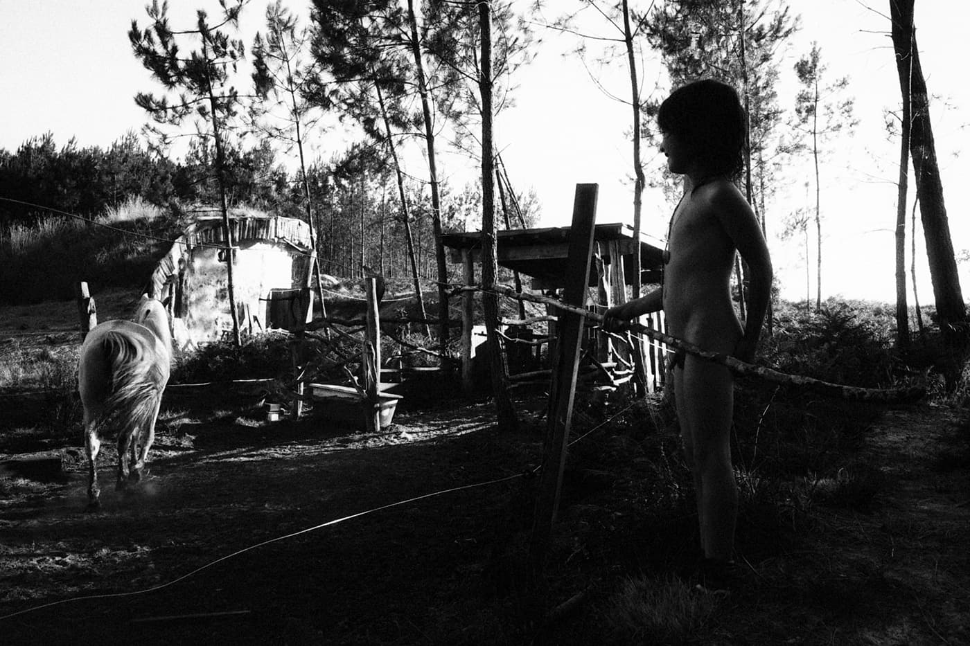 A boy standing with a horse in a garden