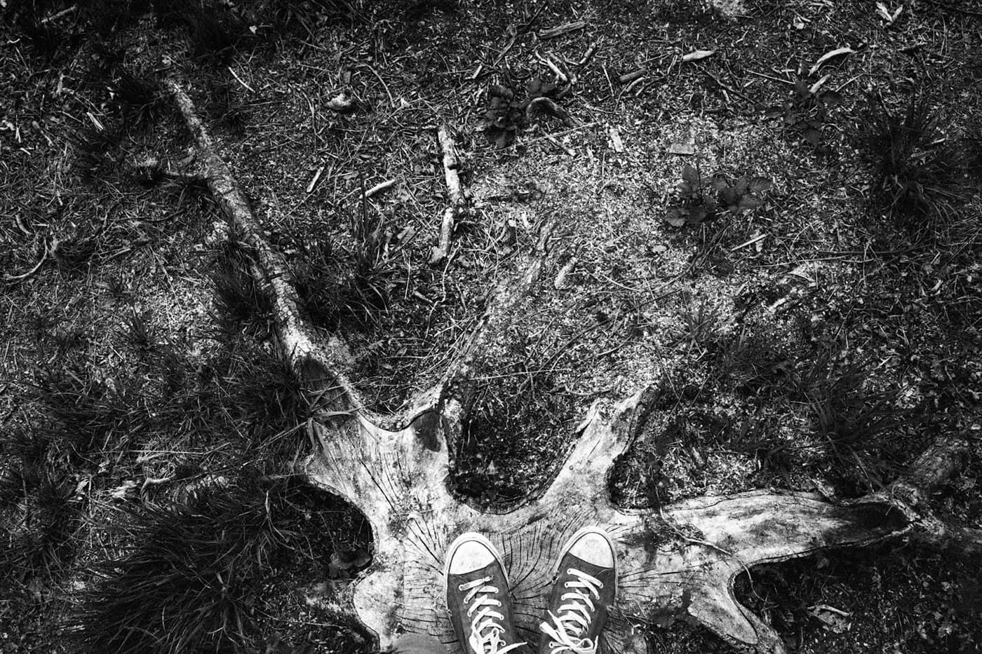 Feet stepping on a cut tree trunk - garden bed series