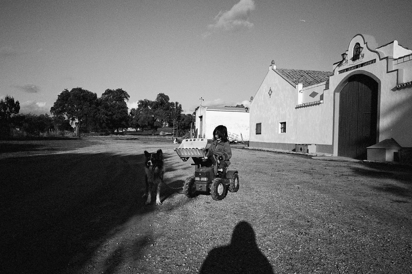 Boy riding a tractor with a dog in front of a large ranch-style building