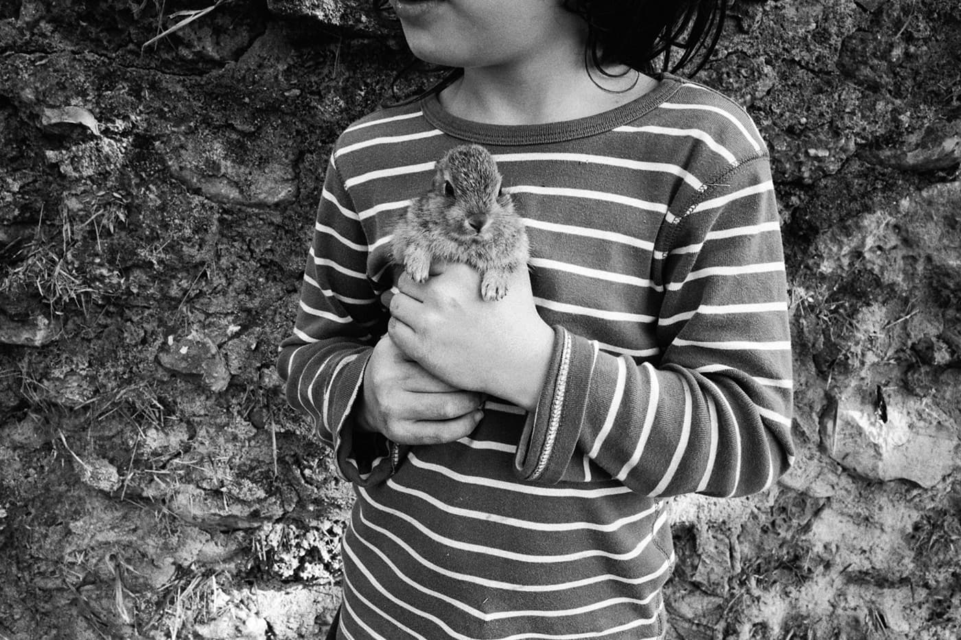 Boy wearing a striped blouse holding a small rabbit in his hands