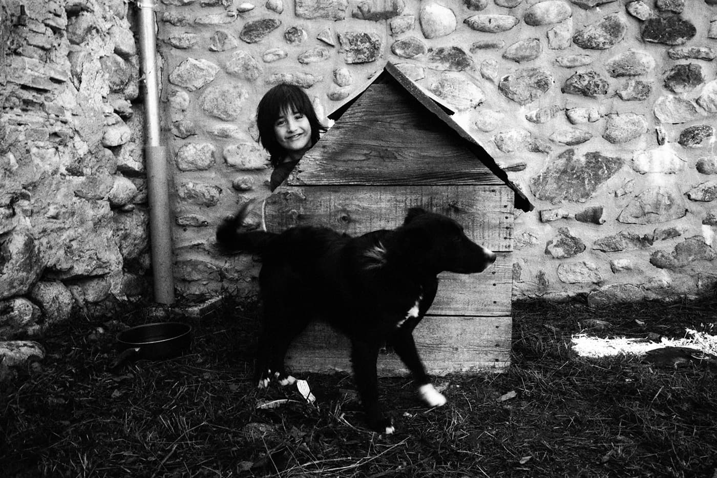Kid inside a dog's house while a dog stands next to the house outside
