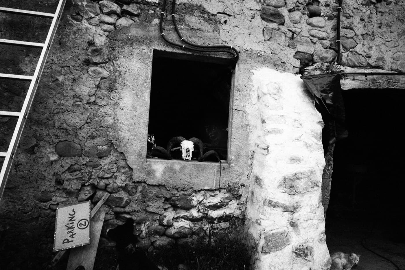 A ram skull inside a stone wall window frame with a ladder leaning nearby and a parking sign
